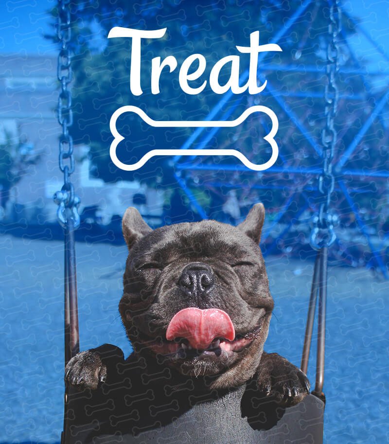 Treat